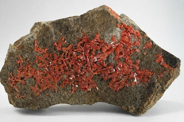 Large and richly crystallized crocoite specimen from the type locality of the Berezovskoe Gold Deposit, Middle Urals, Russia.